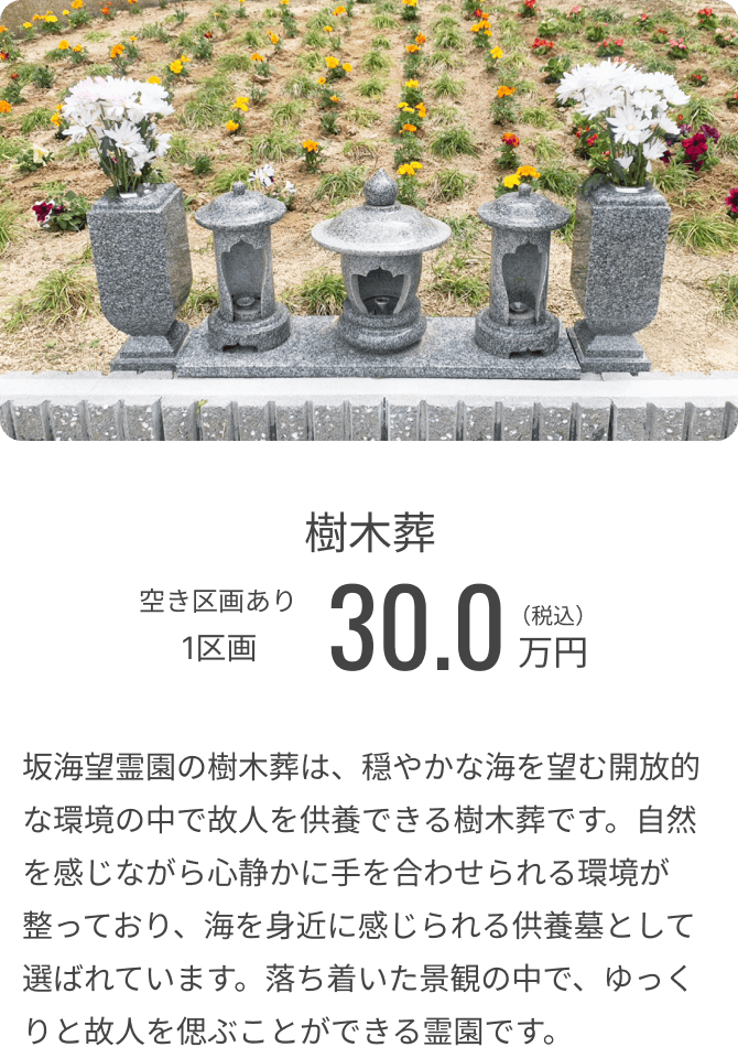 坂海望霊園