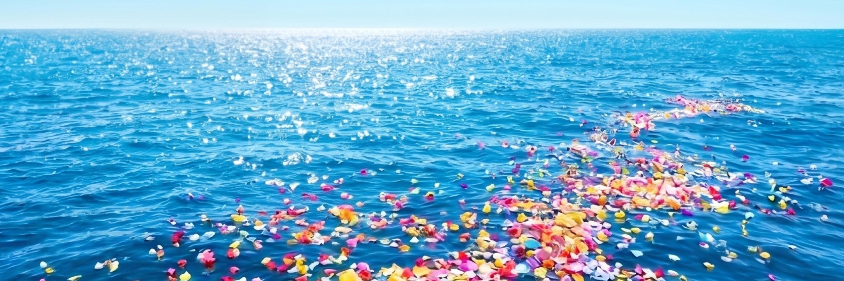 海洋散骨